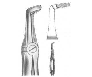 Extracting Forceps English pattern